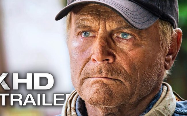terrence Hill